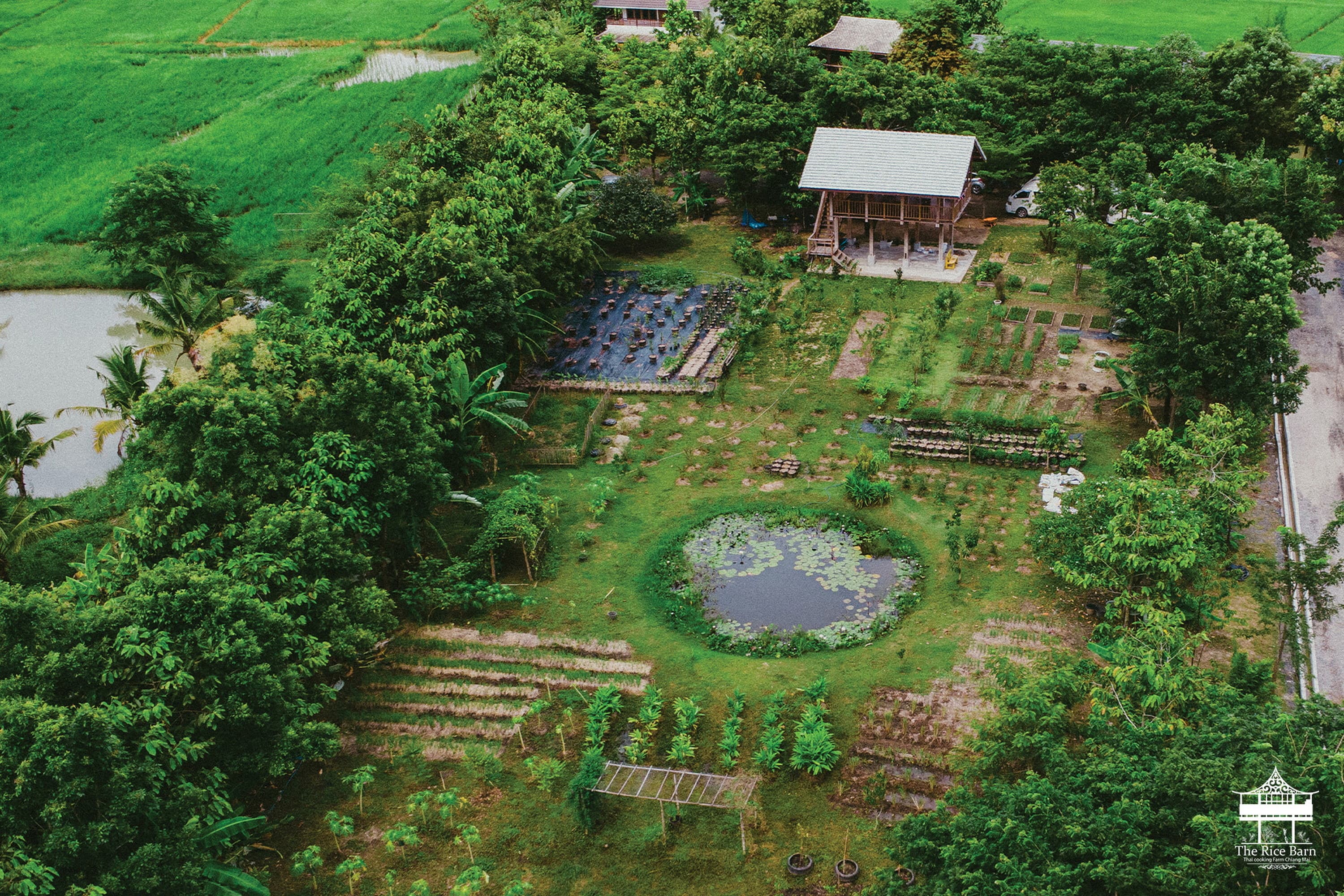 The Rice Barn Thai Cooking Farm