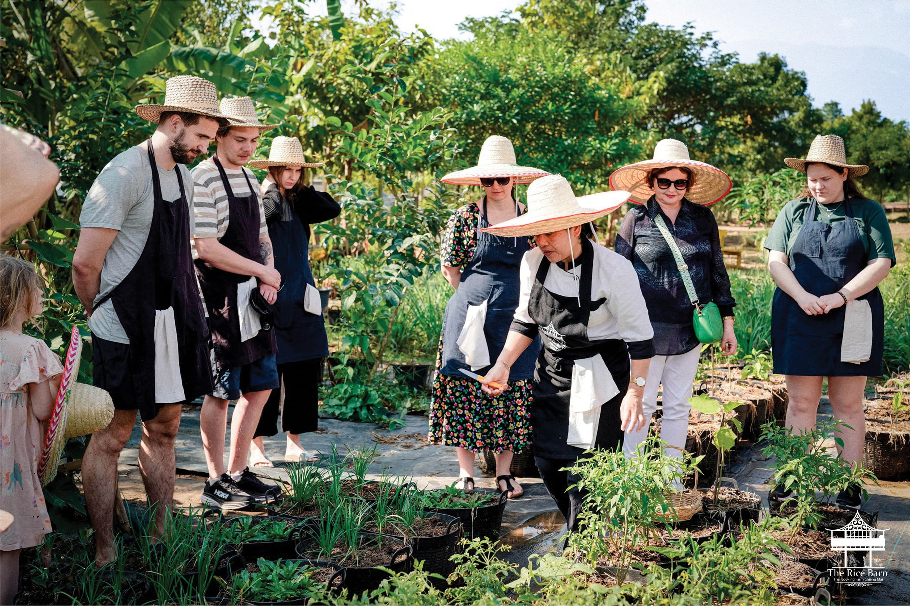 Herb garden